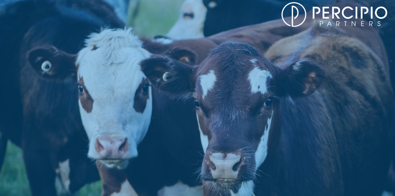 Fed Cattle Exchange Acquired by Central Stockyards, LLC Percipio Partners